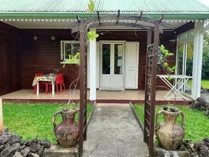 Maison charmante à Saint Benoît avec vue sur la montagne - Saint-Benoît