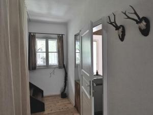 Charmante Altbauwohnung