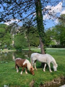 Maisons de vacances Gite La Suite Ducale Chateau La Roche Racan : photos des chambres