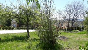 Zlatiborska ćurka