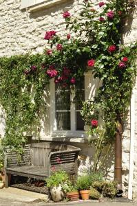 Maisons de vacances Little Montrachet : photos des chambres