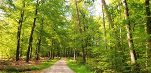 De Kleine Kriemelkuil {Het Herdertje}