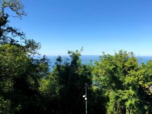 The North Cliff Hotel