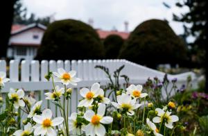 Savoy Hotel Ooty (19 of 136)