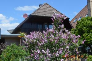 Ferienwohnung Beim Holzmann