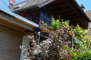Ferienwohnung Beim Holzmann