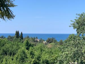 Diamond seaview 