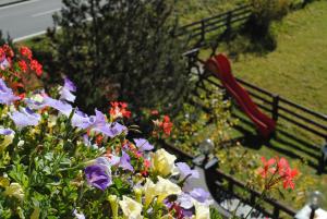 Sonnenhof - Apartments & Zimmer