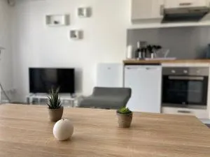 Grand studio confortable et spacieux avec terrasse - 马格隆新城