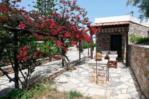 2 Sea Syros Syros Greece