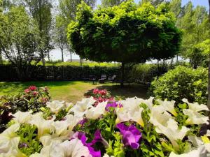 BedandBreakfast Casa Martina