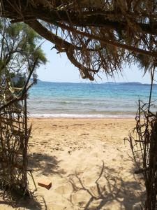 Lemon Tree Cottage Messinia Greece