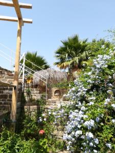 Lemon Tree Cottage Messinia Greece