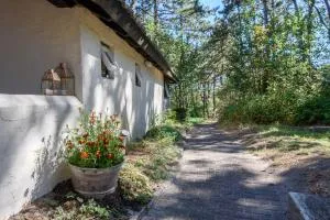 森林小屋酒店 - 霍恩