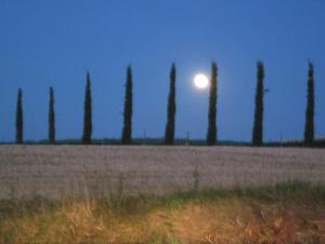 Agriturismo Torrenieri da Alessandro