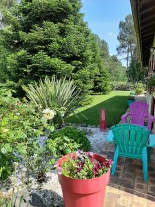 Maisons de vacances L'Oree des Landes : photos des chambres