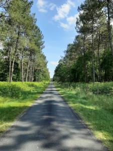 Maisons de vacances L'Oree des Landes : photos des chambres