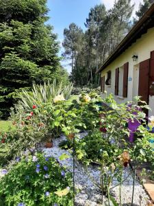 Maisons de vacances L'Oree des Landes : photos des chambres