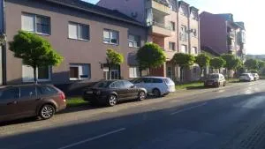 Apartment Eurho - 奥西耶克