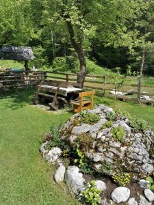 Hiska Rutar Valley Voje 