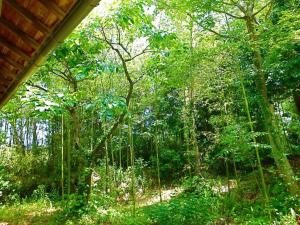 Kominka Sharehouse Hooju - Vacation STAY 7614