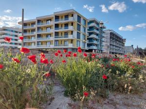 Holiday Apartment Mamaia Nord