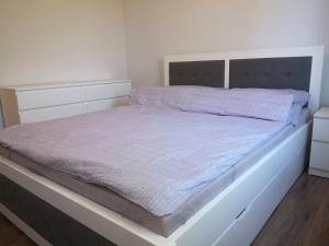 Apartament Sady