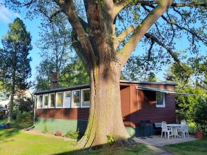 obrázek - Ferienhaus Eichenblatt