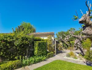 Hotels Hotel Sous les Figuiers : photos des chambres