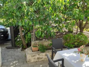 Apartment Murter Slanica