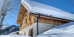 Chalet accueillant avec vue sur la montagne - 180 m² - Valmorel - Les Avanchers