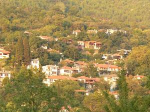 Hotel Tsigoura Thassos Thassos Greece