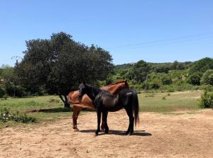 Chalets A Casetta : photos des chambres