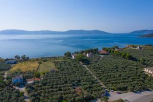 Makis Inn Resort Argolida Greece