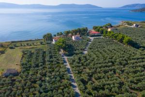 Makis Inn Resort Argolida Greece