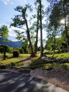 Hotels Le Manoir Au Lac : photos des chambres