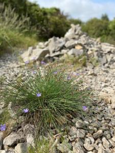 Villas Villa privee independante et Luxueuse au calme : photos des chambres