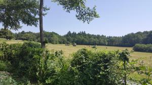 Maisons de vacances Le Petit Coin - LPC Dordogne Holidays : photos des chambres