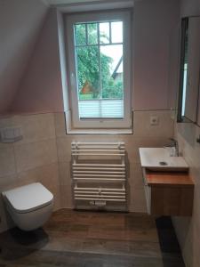 Finnhütte Bernstein