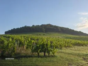 La maison du vigneron - Moiré