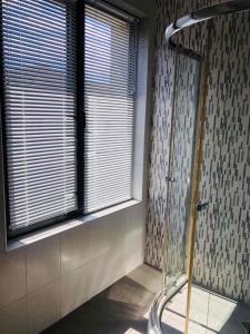 Executive Rooms and Suites Play