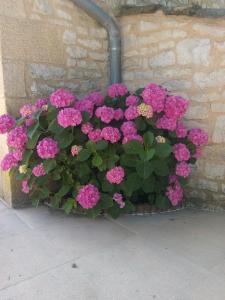 Maisons de vacances La petite maison dans le Quercy : photos des chambres