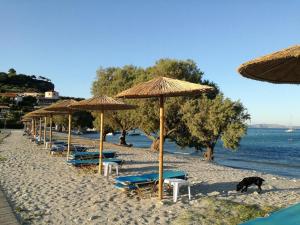 Athenea Villas Private pools & private gardens totally individual Zakynthos Greece