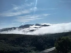 Pouso da Bia - Pirapetinga