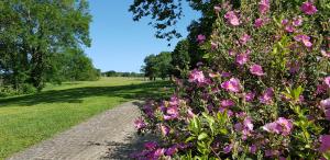 Maisons d'hotes BIDACHUNA : photos des chambres