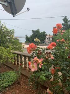 Apartmani Spomenka