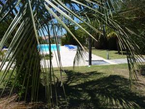 Maisons de vacances ILE D OLERON Charmante Maison Oleronaise & Piscine chauffee : photos des chambres