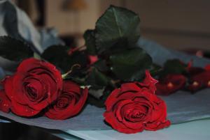 Imperhotel by Umbral