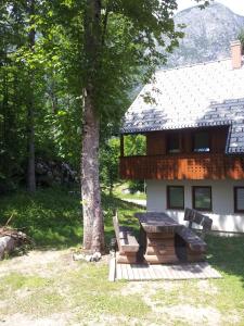 Apartments Lake Bohinj 