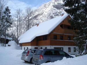 Apartments Lake Bohinj 